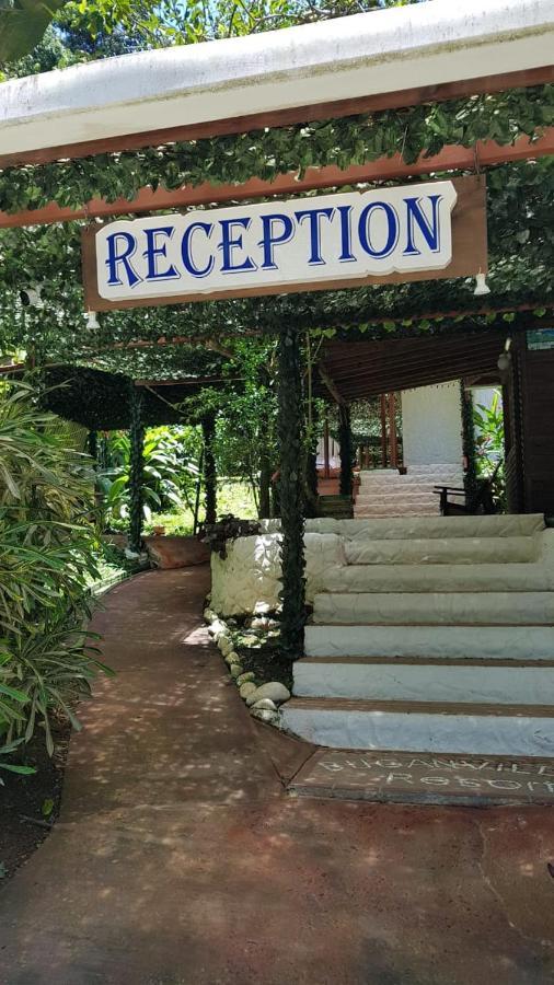 Hotel Bugabutik Puerto Viejo de Talamanca Kültér fotó